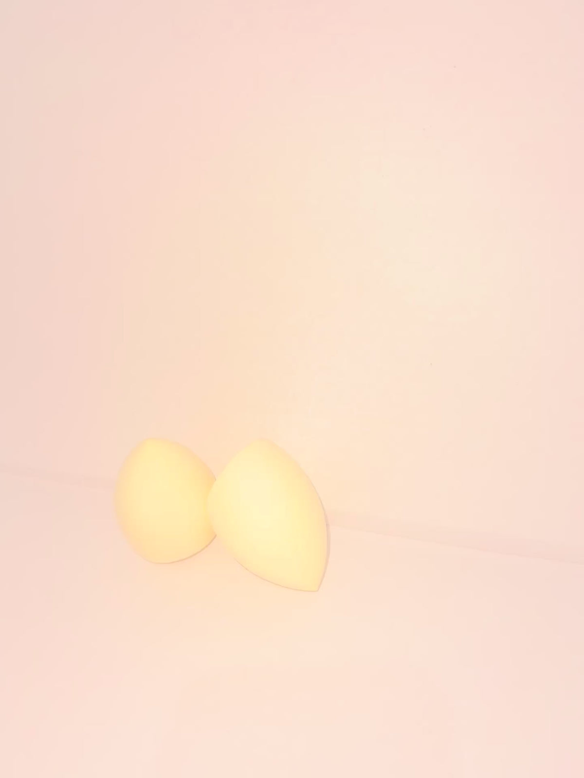 Large makeup sponge